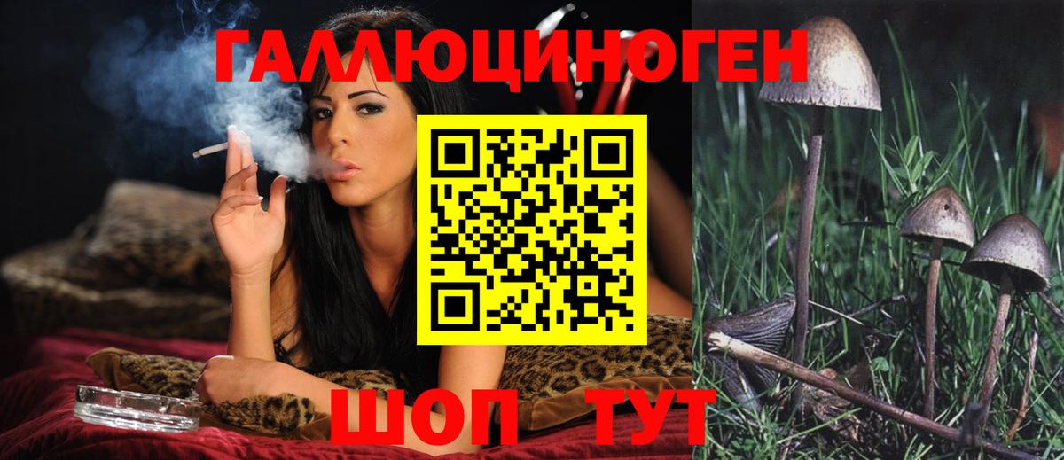 Бирск  Галлюциногенные грибы мицелий  Вход с VPN 