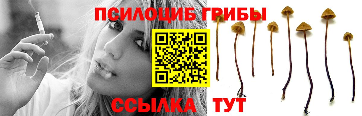 Галлюциногенные грибы мухоморы Бирск